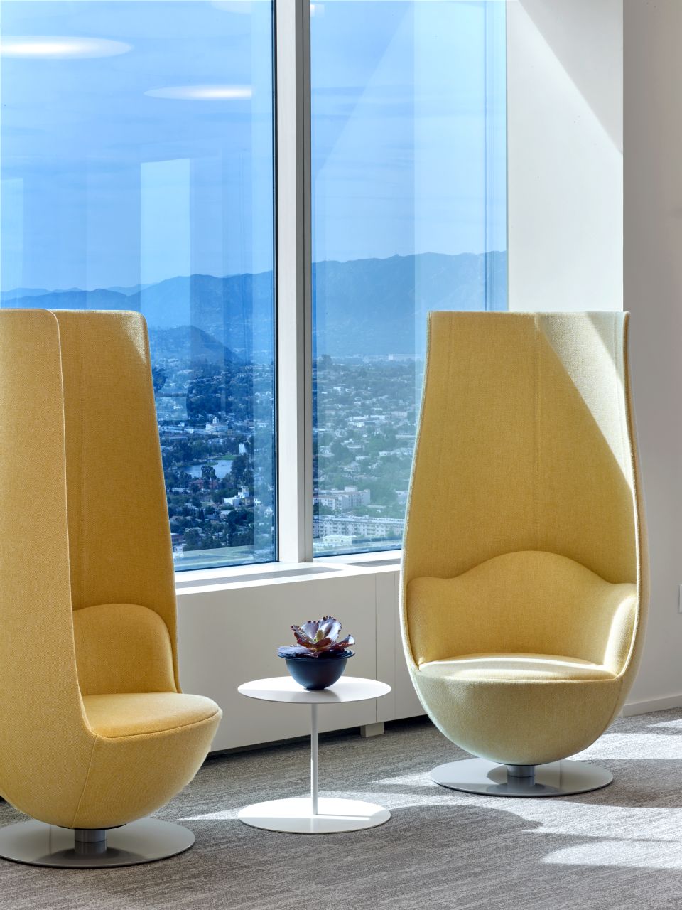 华体会体育官方在线官网 - 坐具|休闲椅|办公家具|华体会体育官方在线官网家具|郁金香