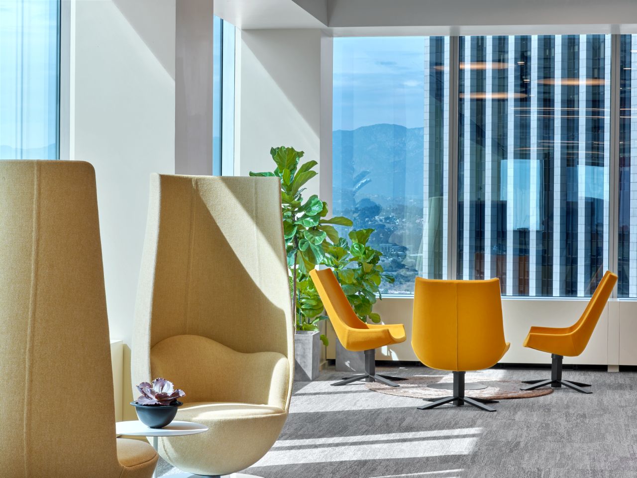 华体会体育官方在线官网 - 坐具|休闲椅|办公家具|华体会体育官方在线官网家具|郁金香