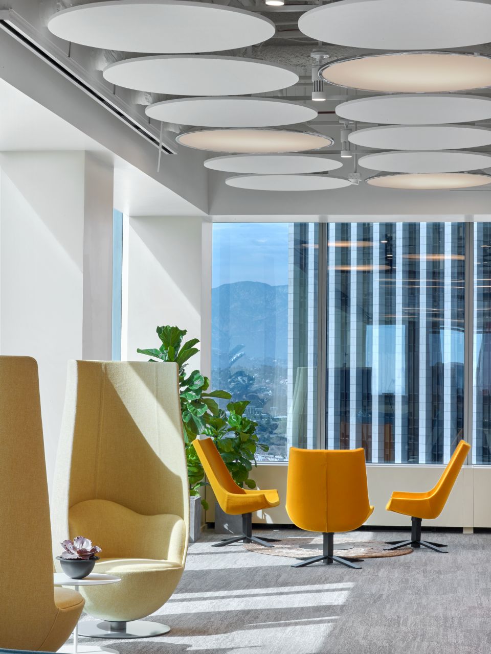 华体会体育官方在线官网 - 坐具|休闲椅|办公家具|华体会体育官方在线官网家具|郁金香