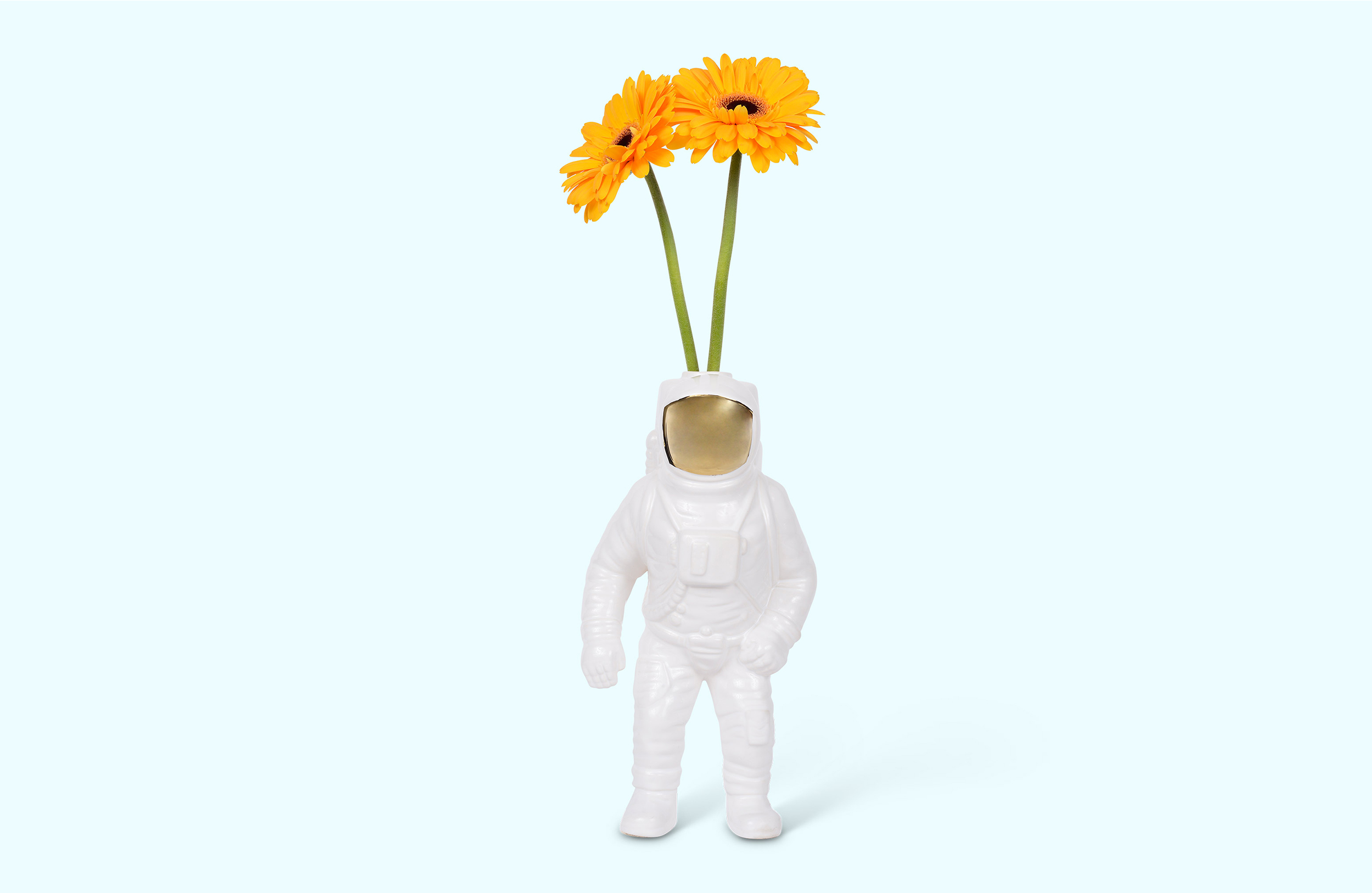 华体会体育官方在线官网 - 附件|花器|办公家具|华体会体育官方在线官网家具|宇航员花瓶