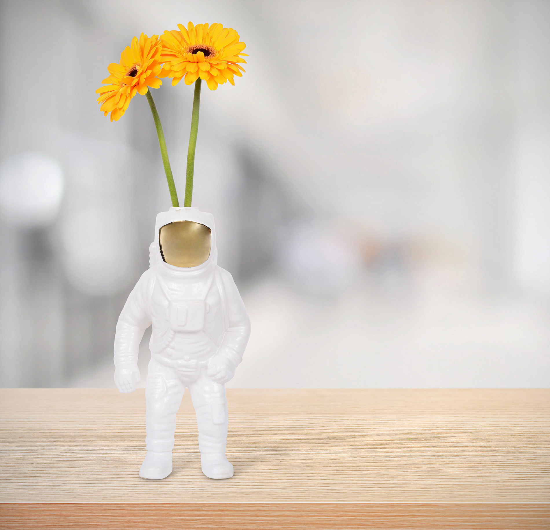 华体会体育官方在线官网 - 附件|花器|办公家具|华体会体育官方在线官网家具|宇航员花瓶