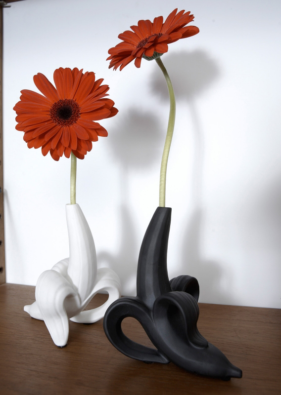 华体会体育官方在线官网 - 附件|花器|办公家具|华体会体育官方在线官网家具|香蕉芽花瓶