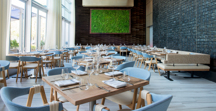 华体会体育官方在线官网 - 坐具|餐椅|办公家具|华体会体育官方在线官网家具|马蒂尔达餐椅