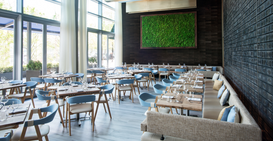 华体会体育官方在线官网 - 坐具|餐椅|办公家具|华体会体育官方在线官网家具|马蒂尔达餐椅