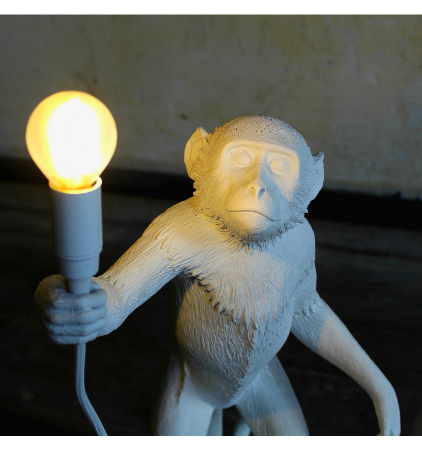 华体会体育官方在线官网 - 灯饰|台灯|办公家具|华体会体育官方在线官网家具|猴子灯