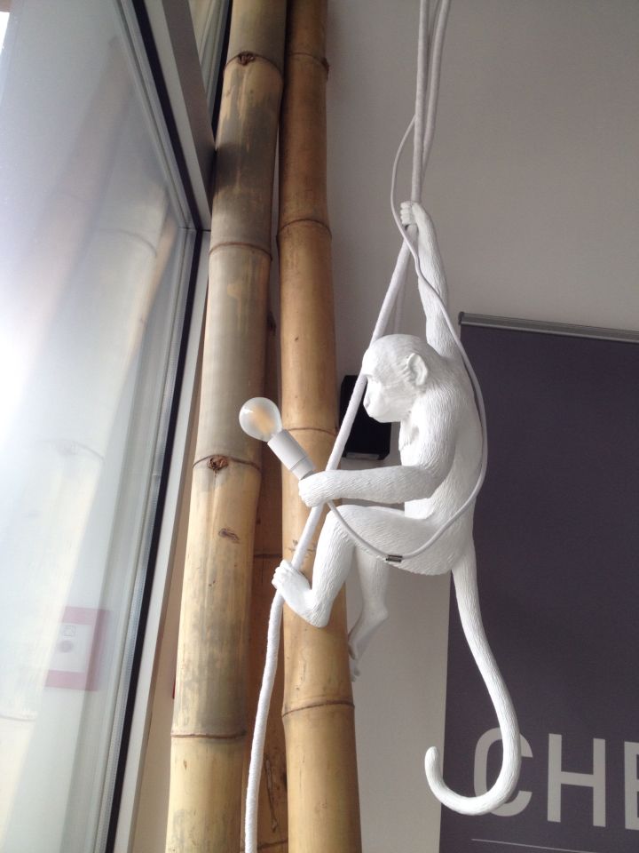 华体会体育官方在线官网 - 灯饰|吊灯|办公家具|华体会体育官方在线官网家具|猴子灯