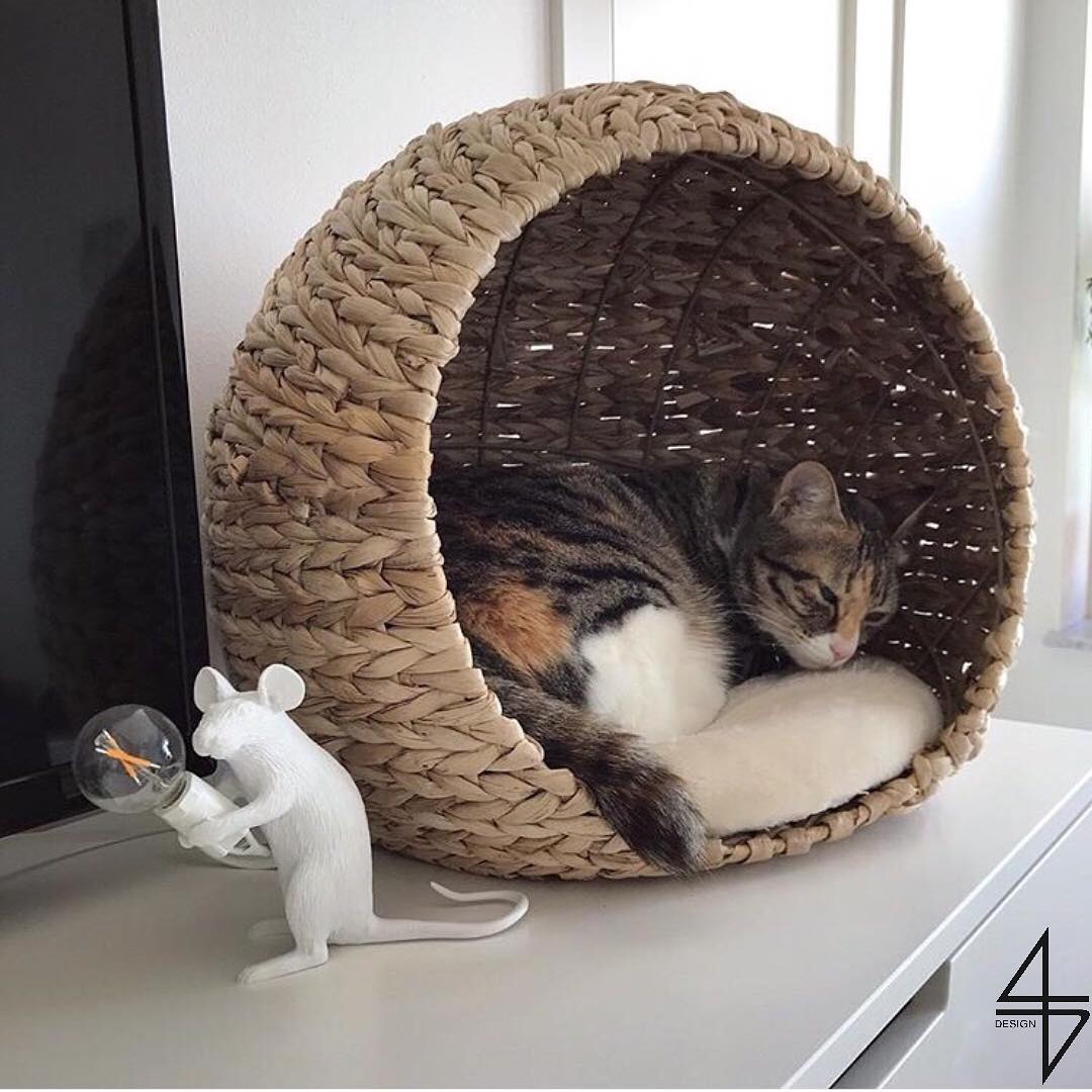 华体会体育官方在线官网 - 灯饰|台灯|办公家具|华体会体育官方在线官网家具|鼠灯