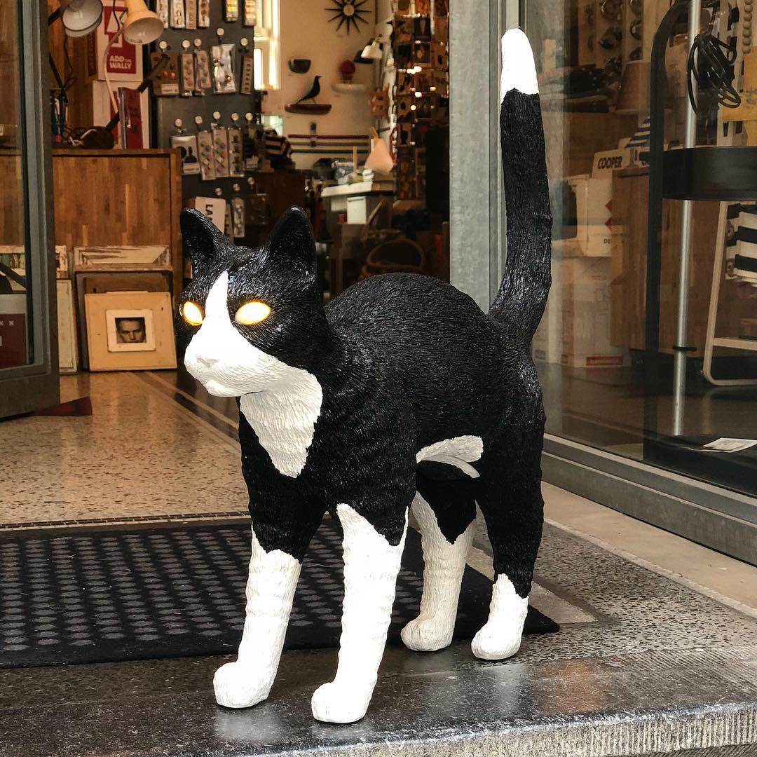 华体会体育官方在线官网 - 灯饰|台灯|办公家具|华体会体育官方在线官网家具|猫灯