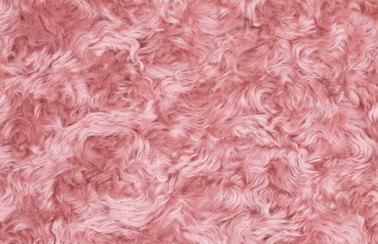 华体会体育官方在线官网 - 坐具|休闲椅|办公家具|华体会体育官方在线官网家具|Uni休闲椅