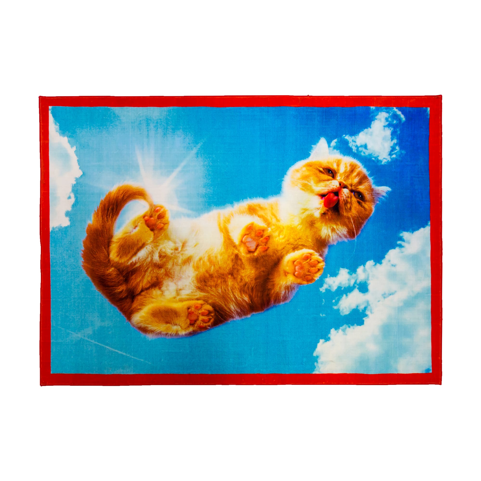 [华体会体育官方在线官网 - 附件|地毯|办公家具|华体会体育官方在线官网家具|square cat]