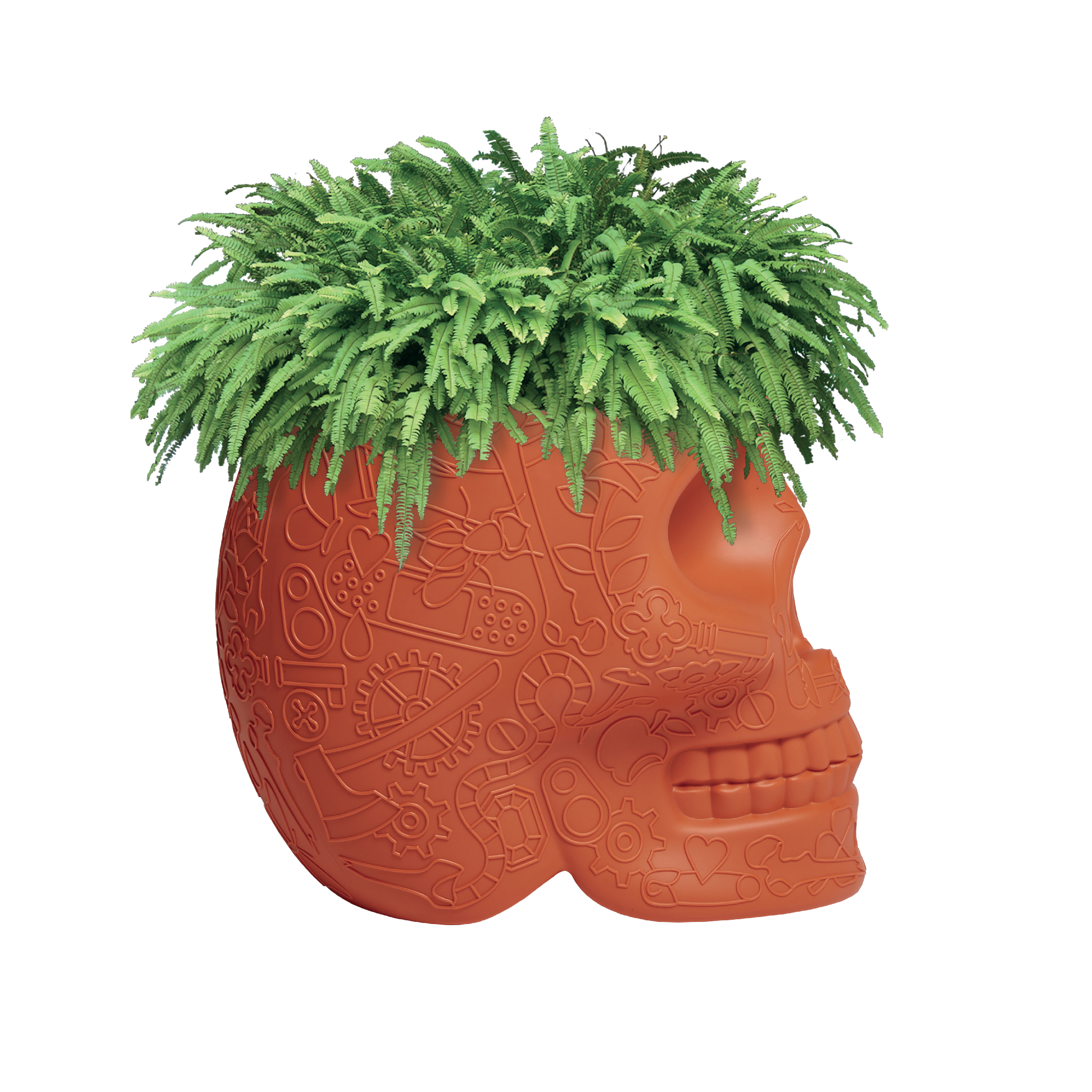 华体会体育官方在线官网 - 附件|花器|办公家具|华体会体育官方在线官网家具|墨西哥花盆