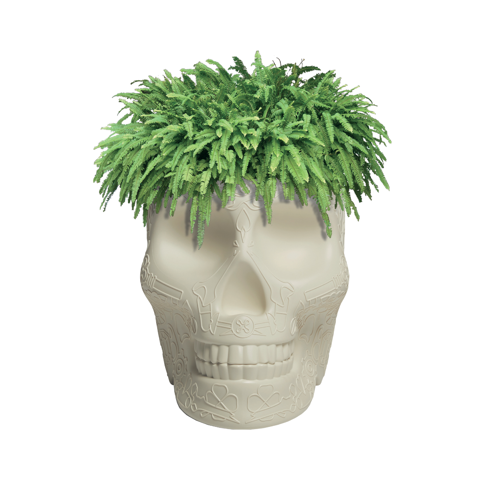 华体会体育官方在线官网 - 附件|花器|办公家具|华体会体育官方在线官网家具|墨西哥花盆