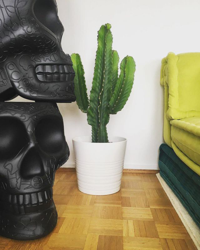 华体会体育官方在线官网 - 坐具|吧椅/凳子|办公家具|华体会体育官方在线官网家具|墨西哥矮凳