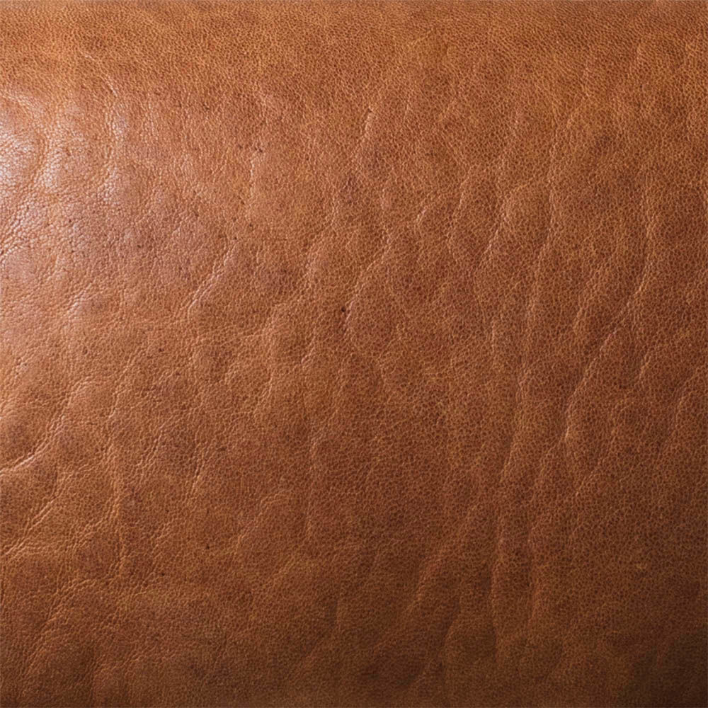 华体会体育官方在线官网 - 坐具|餐椅|办公家具|华体会体育官方在线官网家具|Zuma餐椅