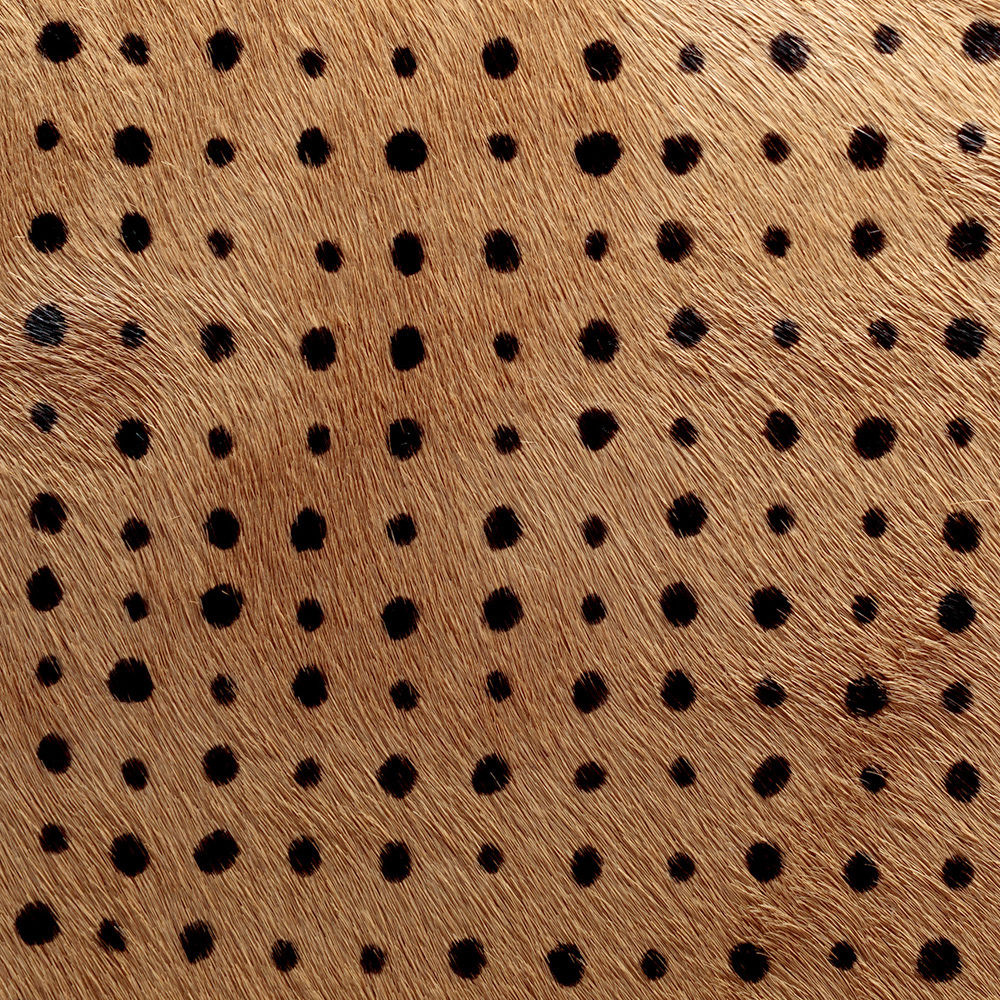 华体会体育官方在线官网 - 坐具|餐椅|办公家具|华体会体育官方在线官网家具|Elliot餐椅