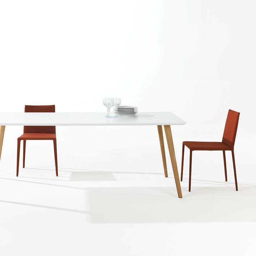 华体会体育官方在线官网 - 坐具|餐椅|办公家具|华体会体育官方在线官网家具|Norma 餐椅/洽谈椅