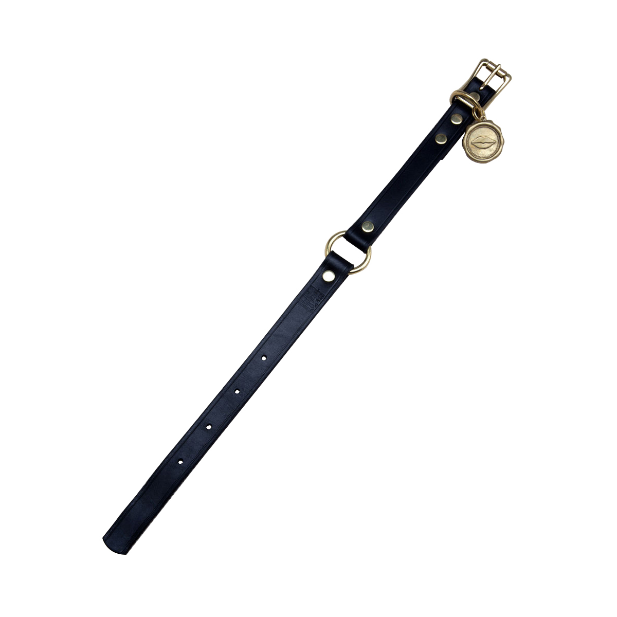 华体会体育官方在线官网 - 附件|饰品|办公家具|华体会体育官方在线官网家具|Liaison狗项圈