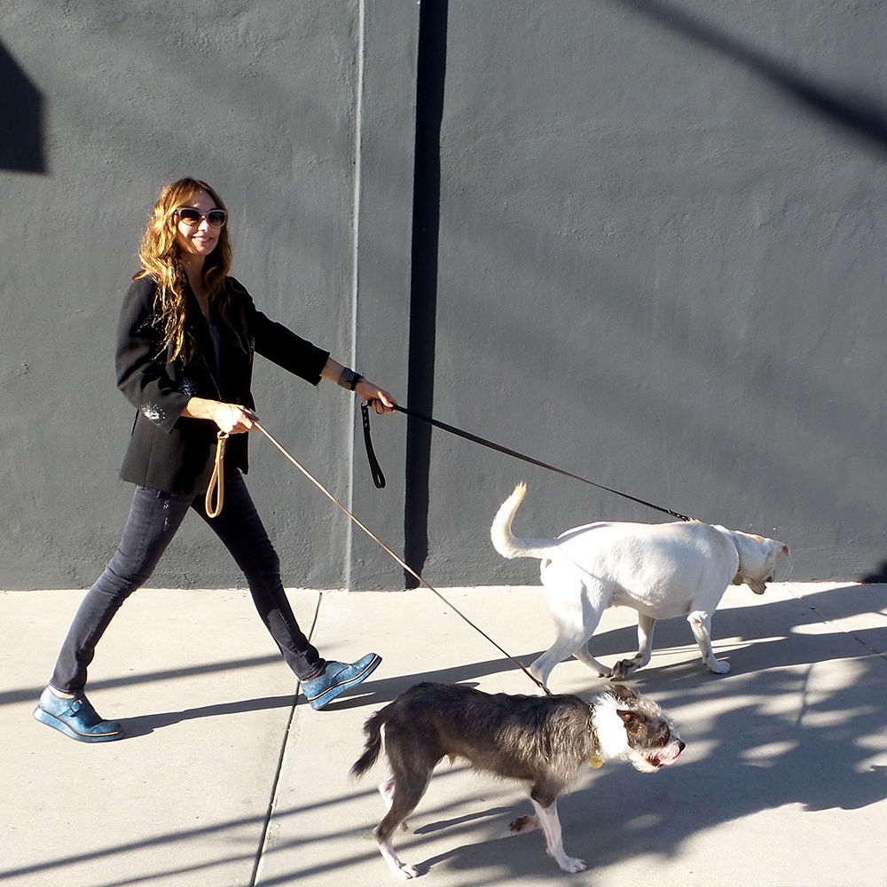 华体会体育官方在线官网 - 附件|饰品|办公家具|华体会体育官方在线官网家具|Liaison狗绳