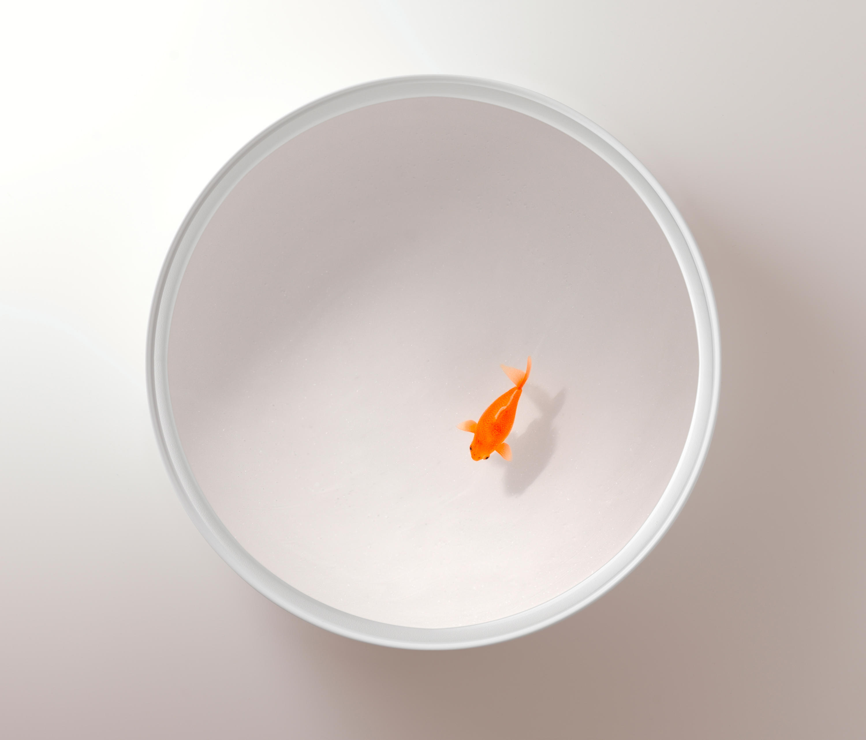 华体会体育官方在线官网 - 桌几|茶几/边几|办公家具|华体会体育官方在线官网家具|Up in the Air 茶几/角几