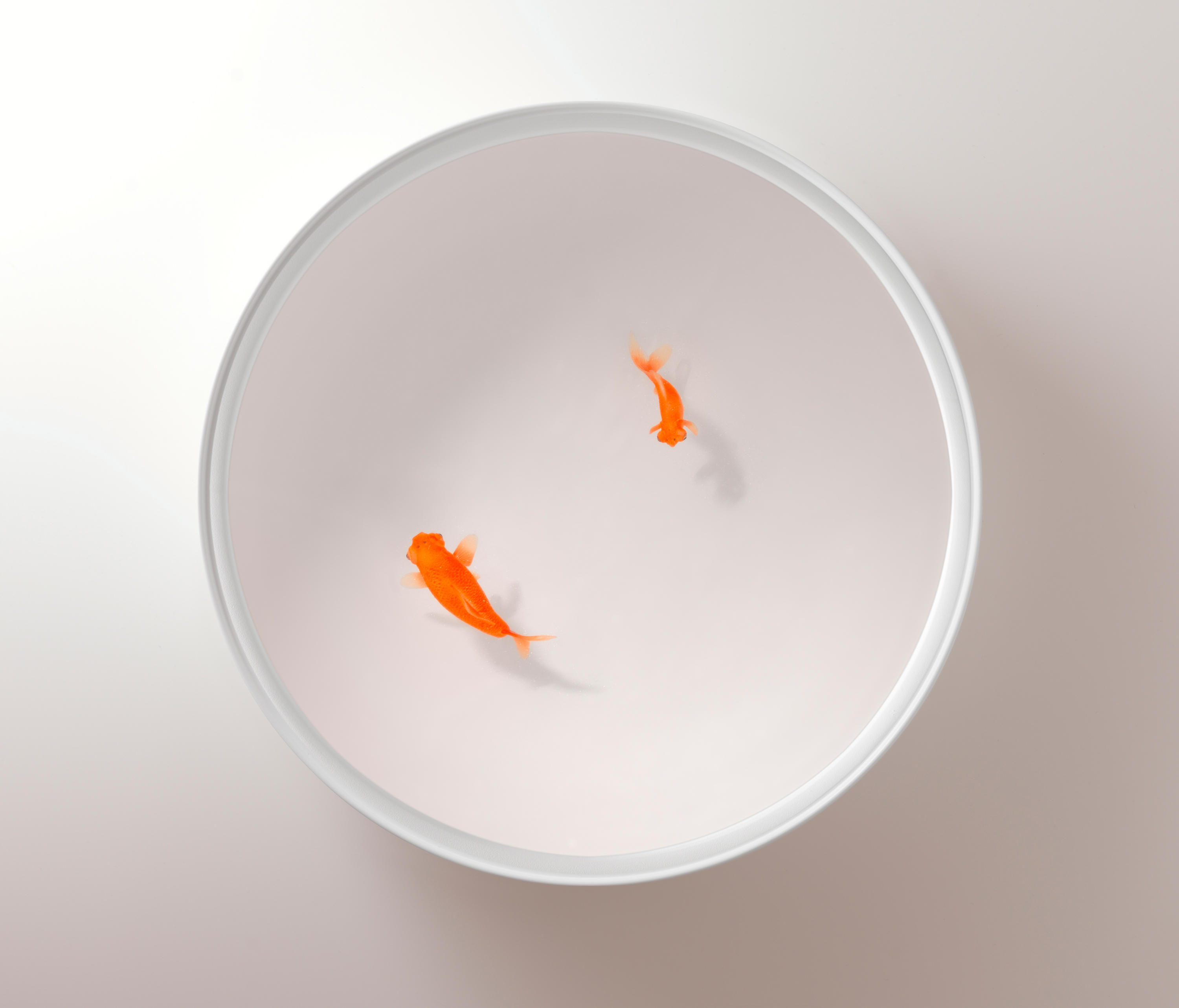 华体会体育官方在线官网 - 桌几|茶几/边几|办公家具|华体会体育官方在线官网家具|Up in the Air 茶几/角几