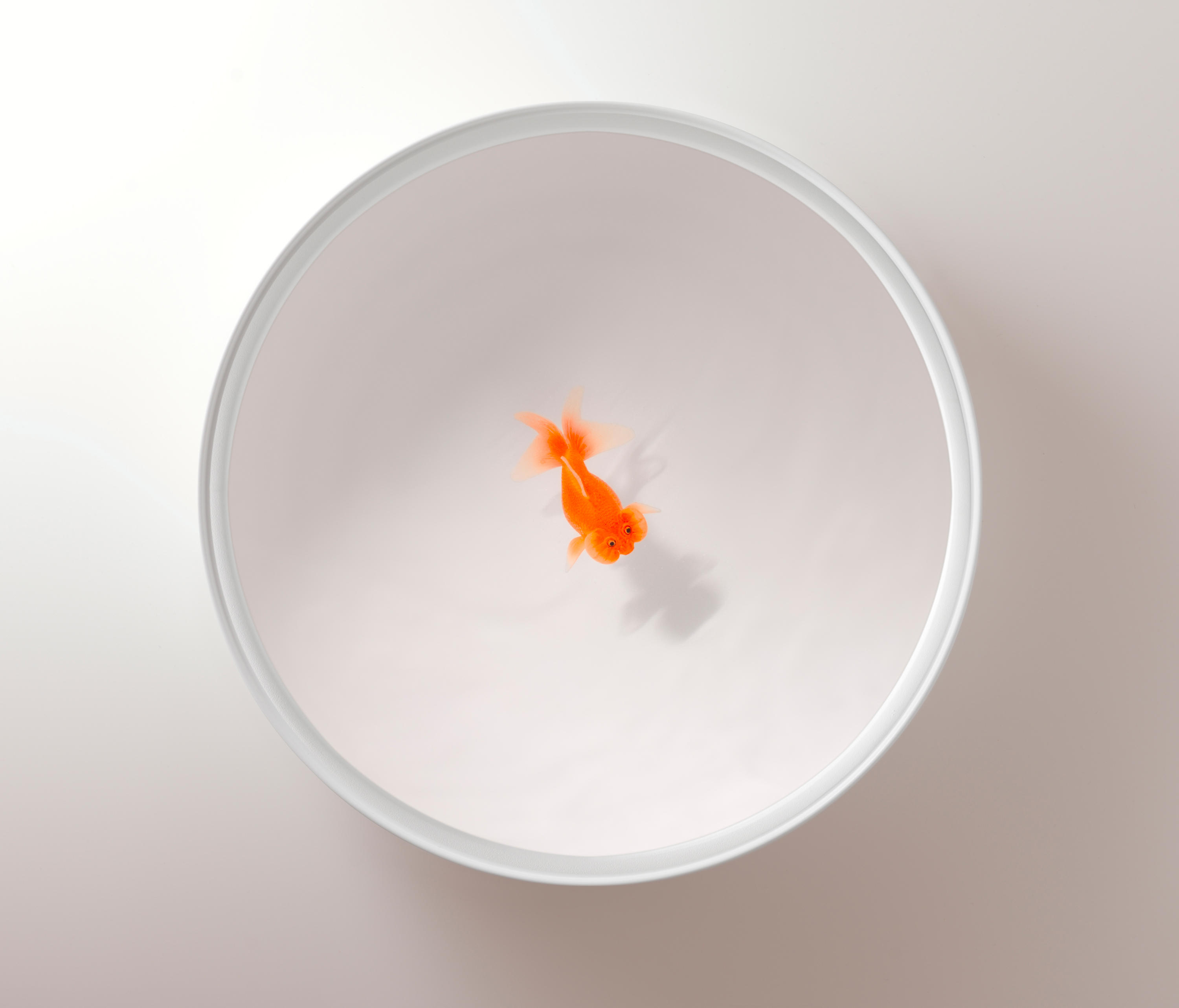 华体会体育官方在线官网 - 桌几|茶几/边几|办公家具|华体会体育官方在线官网家具|Up in the Air 茶几/角几