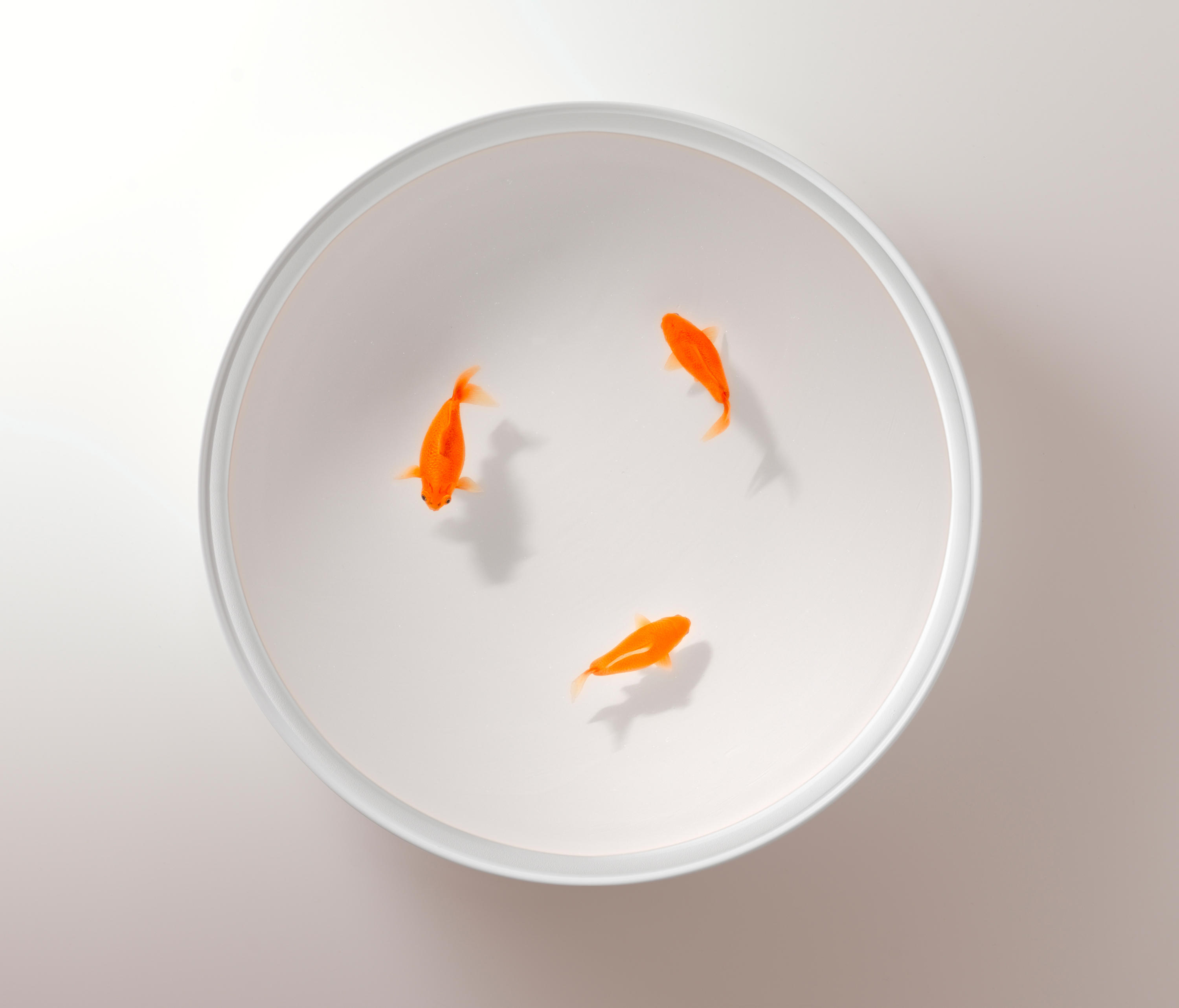 华体会体育官方在线官网 - 桌几|茶几/边几|办公家具|华体会体育官方在线官网家具|Up in the Air 茶几/角几