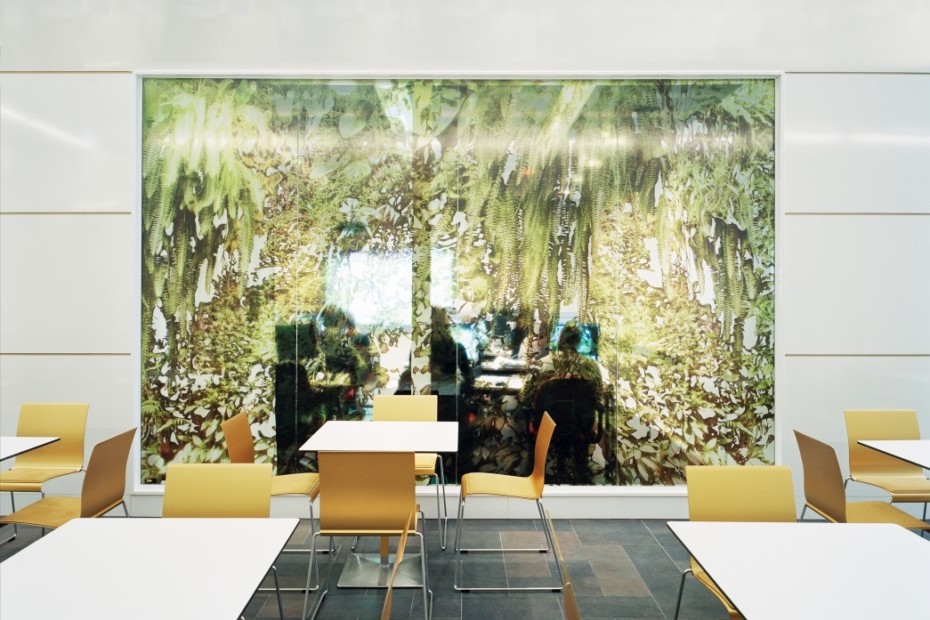 华体会体育官方在线官网 - 坐具|餐椅|办公家具|华体会体育官方在线官网家具|STING 餐椅/洽谈椅