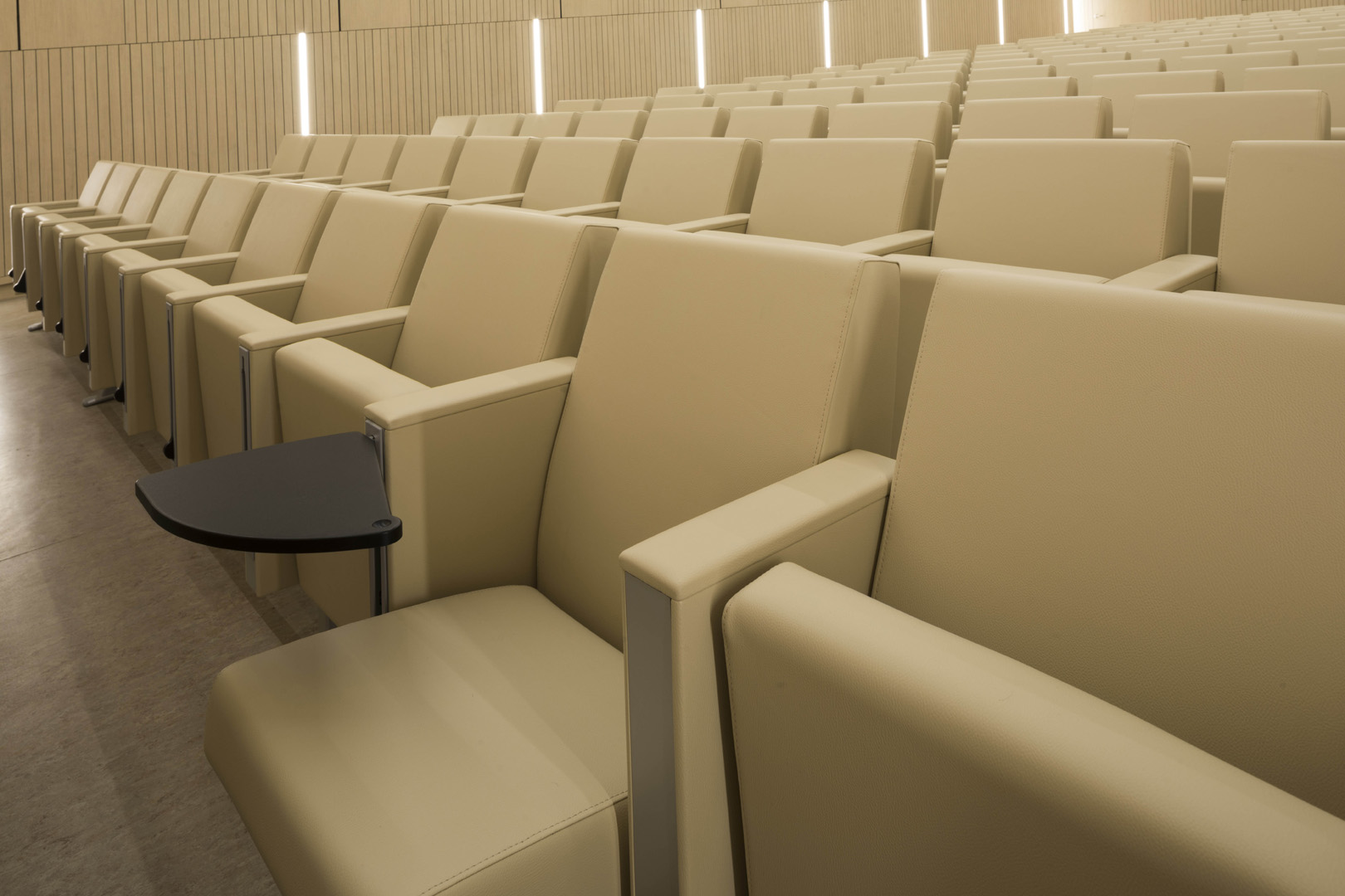 公共座椅|礼堂椅、报告厅椅|办公家具|华体会体育官方在线官网家具|C100 剧院/礼堂椅