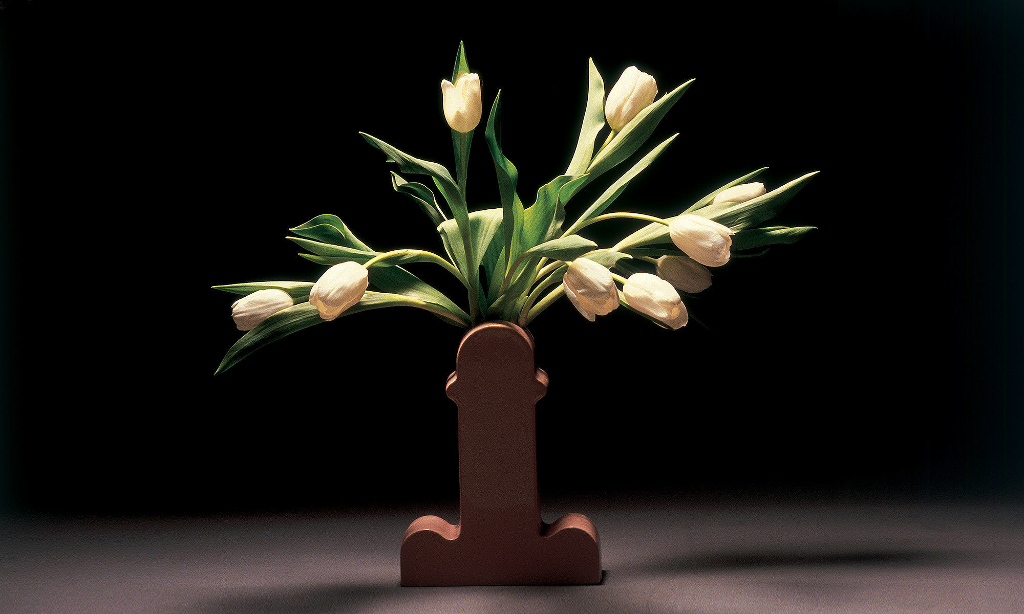 华体会体育官方在线官网 - 附件|花器|办公家具|华体会体育官方在线官网家具|SHIVA  花瓶/饰品