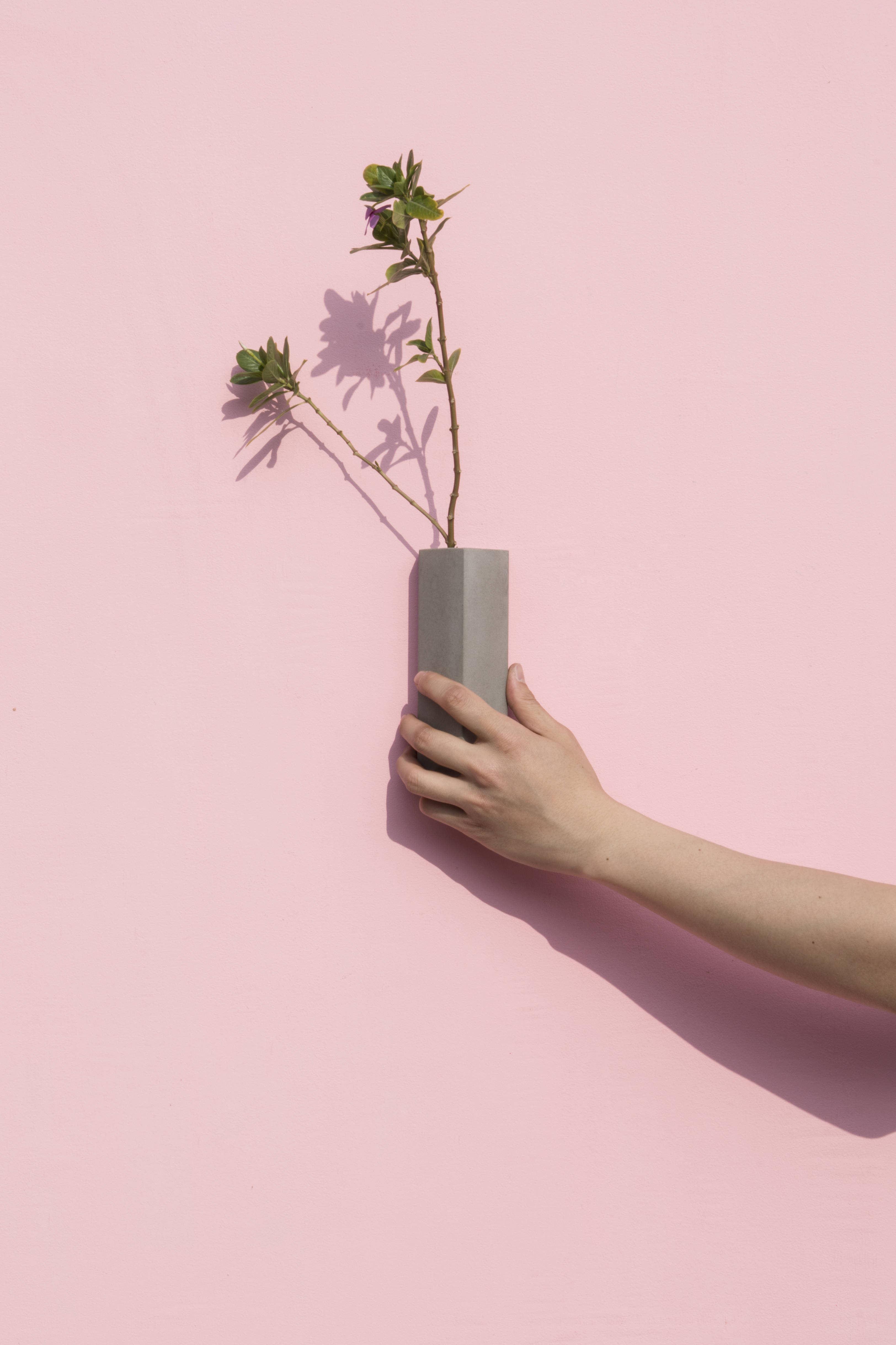 华体会体育官方在线官网 - 附件|装饰画/墙饰|办公家具|华体会体育官方在线官网家具|墙面装饰花插-息