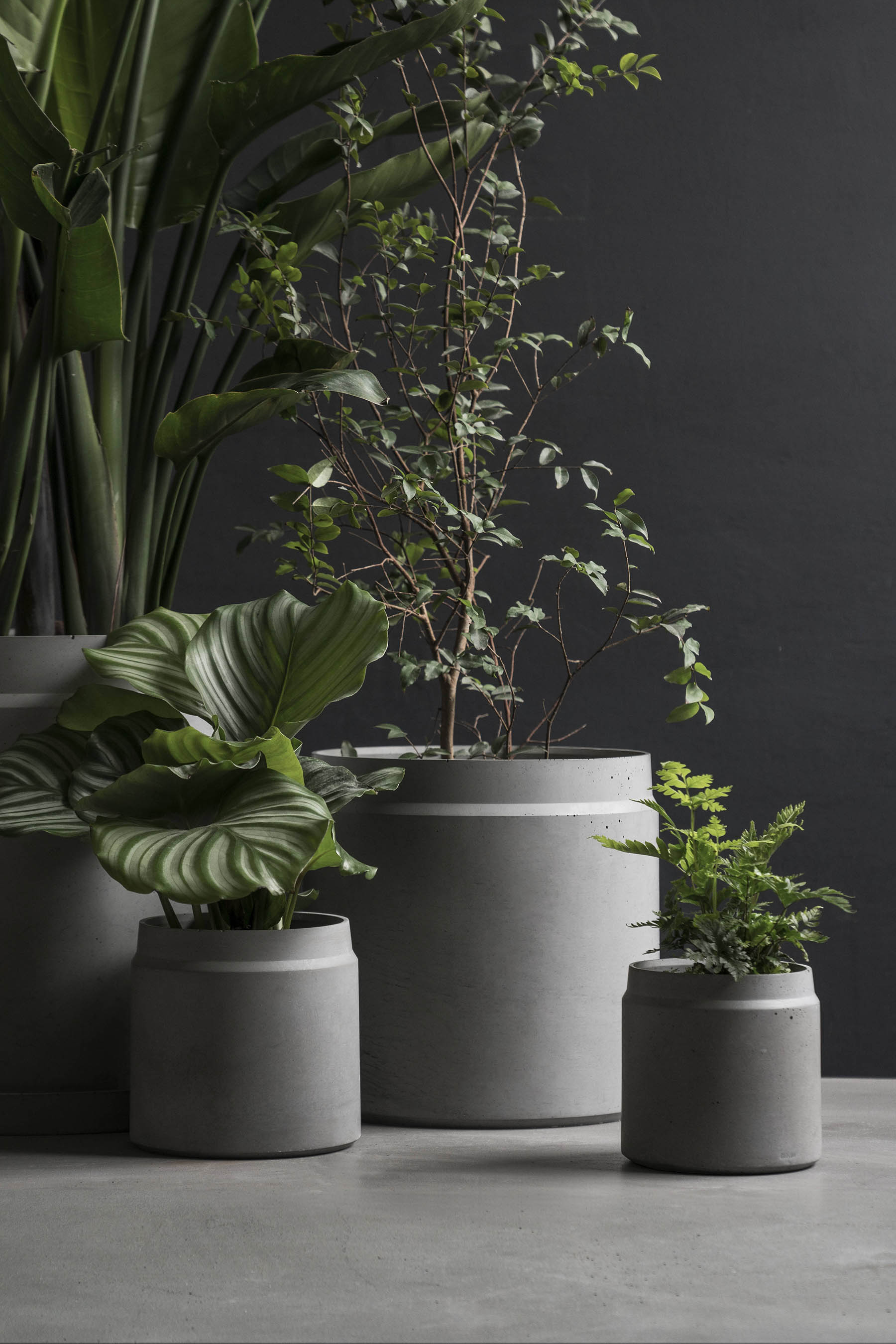 华体会体育官方在线官网 - 附件|花器|办公家具|华体会体育官方在线官网家具|花钵-圆