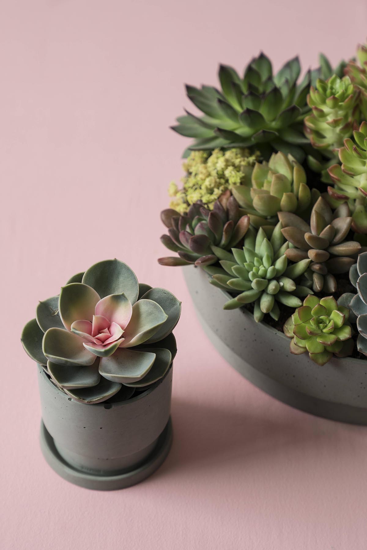 华体会体育官方在线官网 - 附件|花器|办公家具|华体会体育官方在线官网家具|花钵/蜡烛台-息