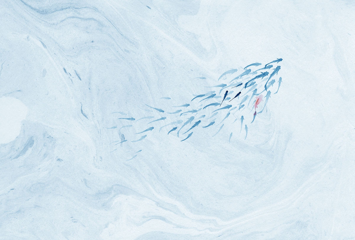 华体会体育官方在线官网 - 附件|装饰画/墙饰|办公家具|华体会体育官方在线官网家具|鲤鱼溪Ⅱ-原创定制壁画