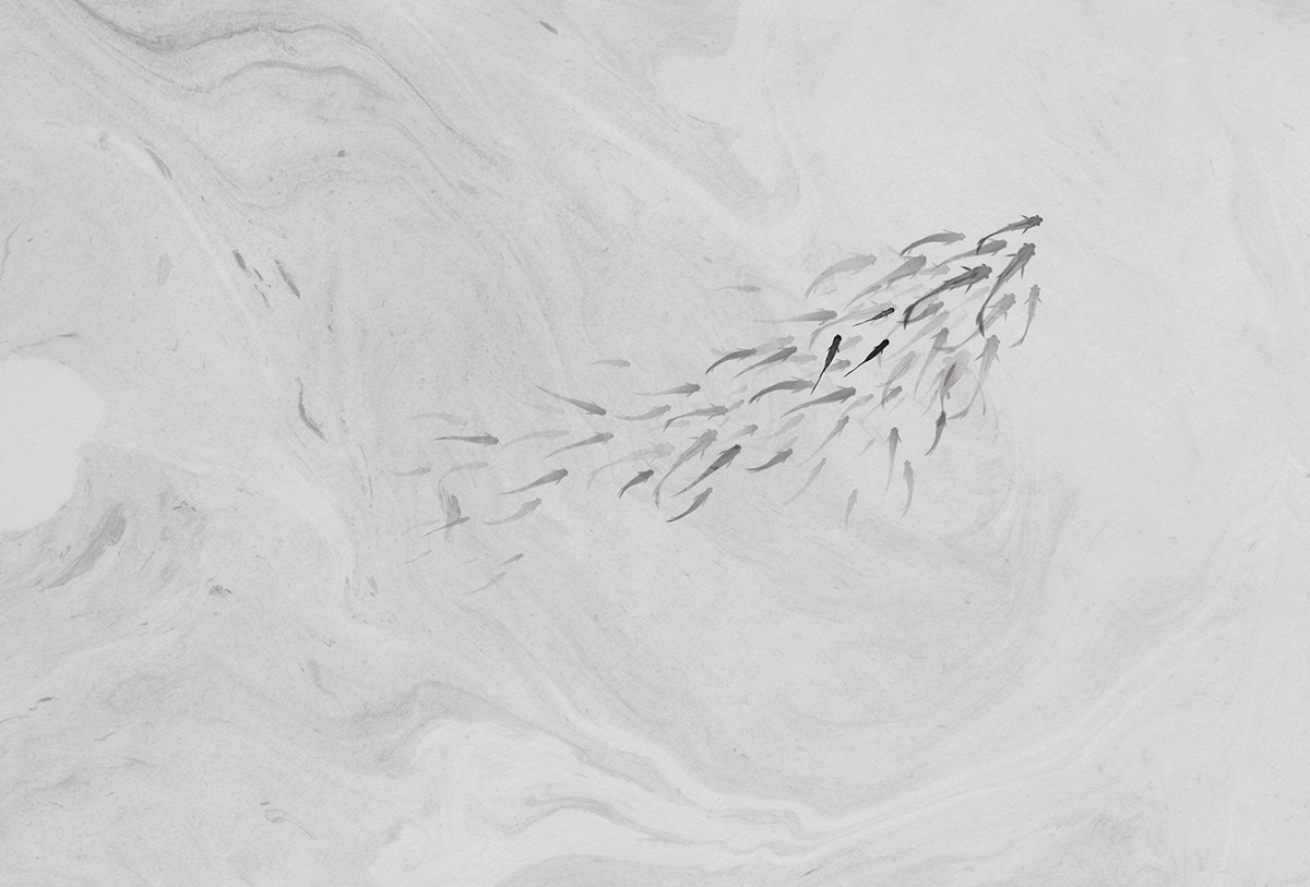 华体会体育官方在线官网 - 附件|装饰画/墙饰|办公家具|华体会体育官方在线官网家具|鲤鱼溪Ⅱ-原创定制壁画