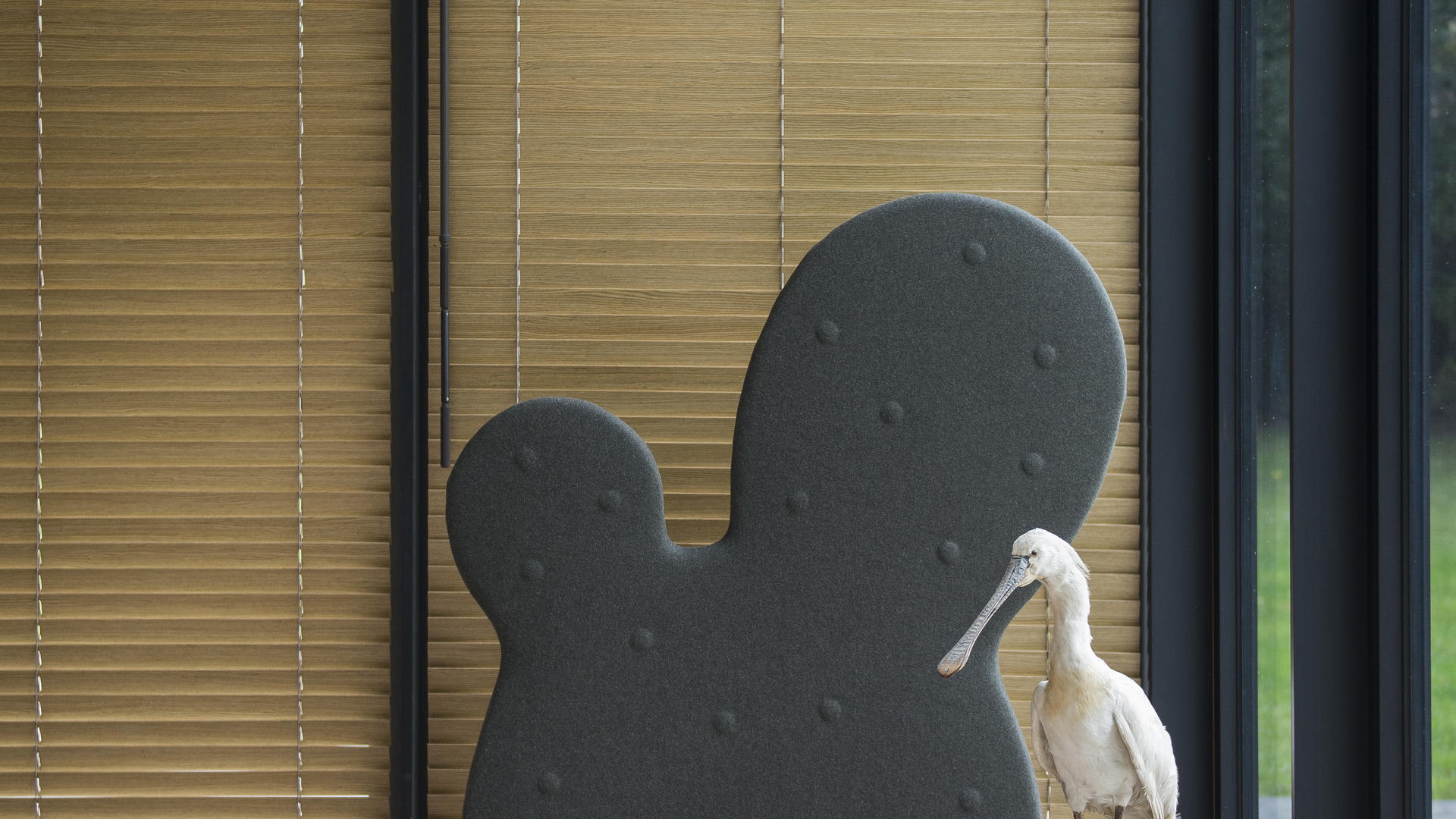 华体会体育官方在线官网 - 附件|屏风|办公家具|华体会体育官方在线官网家具|仙人掌