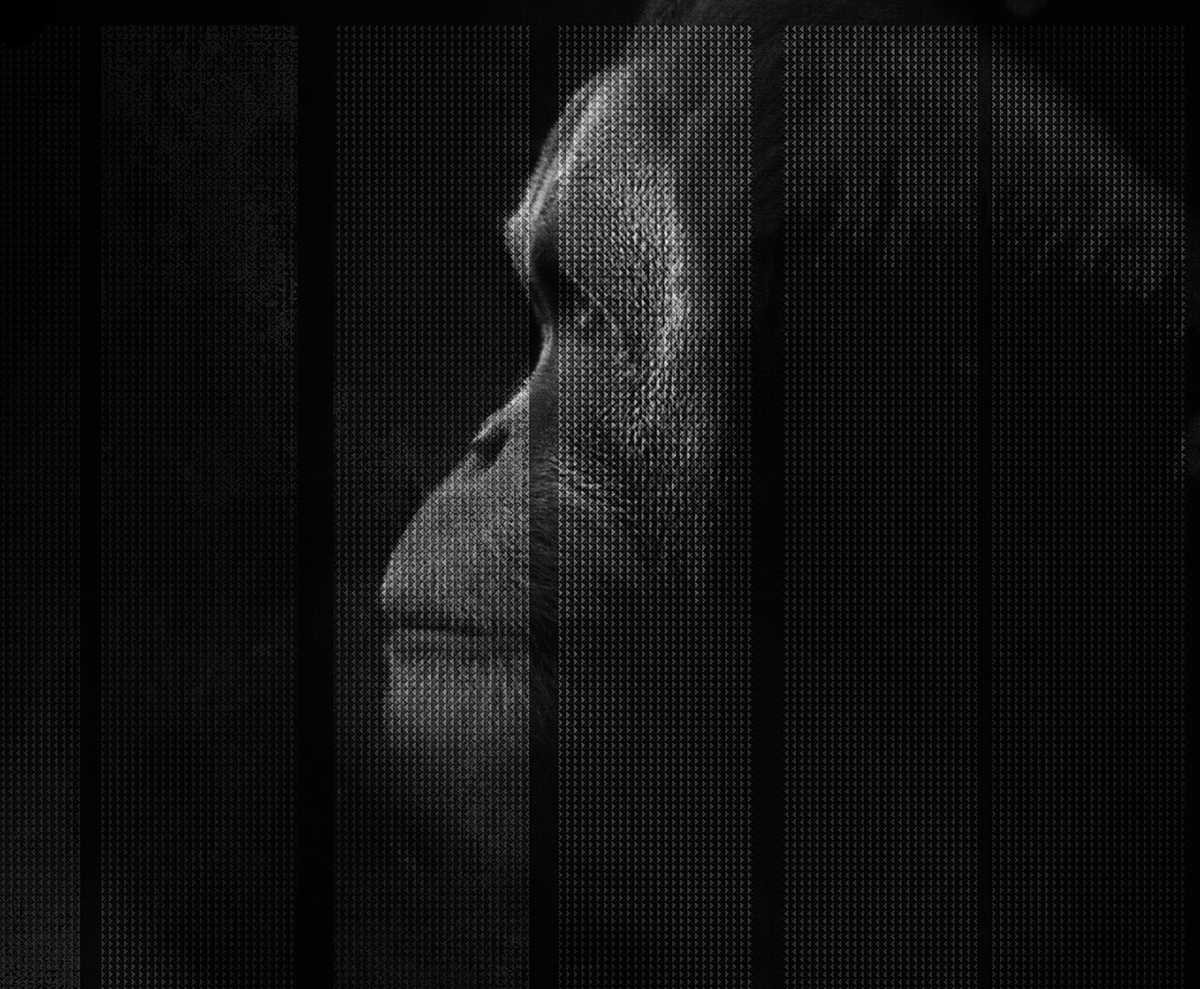 [华体会体育官方在线官网 - 附件|装饰画/墙饰|办公家具|华体会体育官方在线官网家具|凯撒-原创定制壁画]