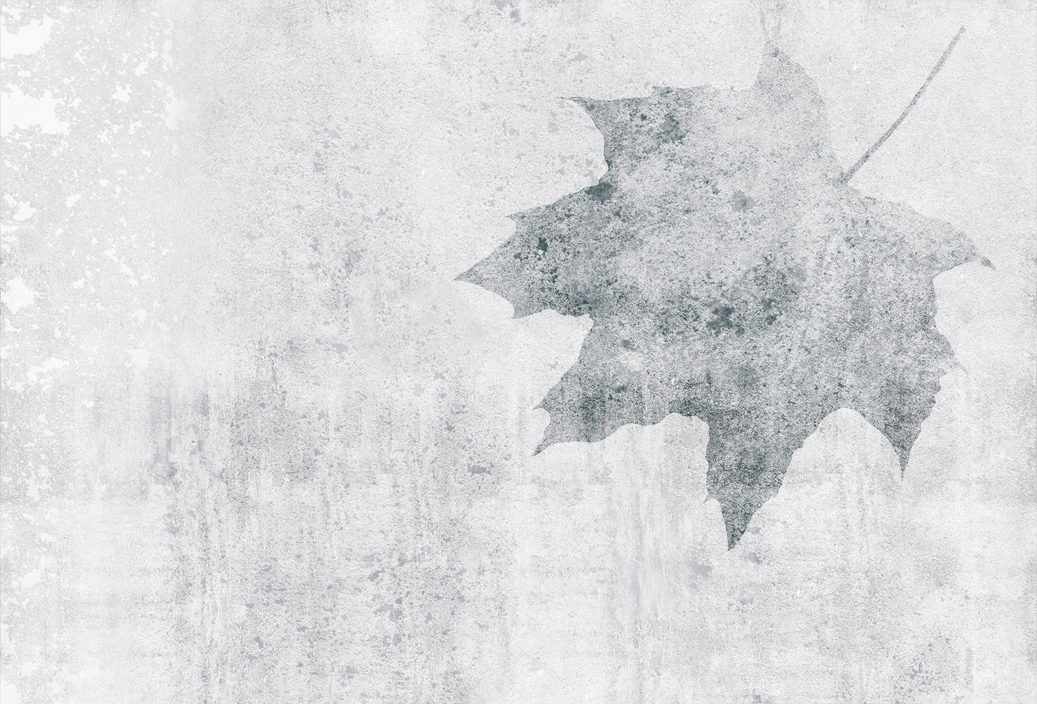 [华体会体育官方在线官网 - 附件|装饰画/墙饰|办公家具|华体会体育官方在线官网家具|枫叶-原创定制壁画]