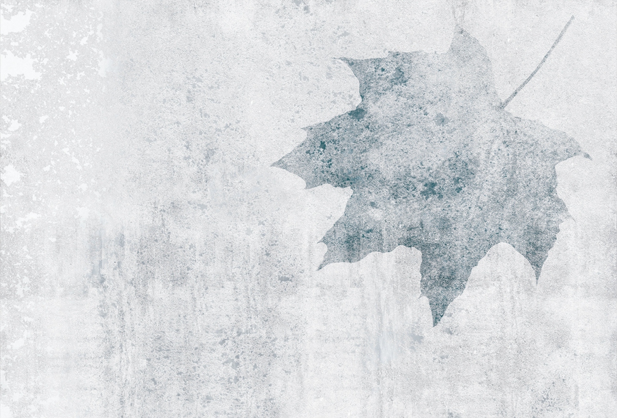 华体会体育官方在线官网 - 附件|装饰画/墙饰|办公家具|华体会体育官方在线官网家具|枫叶-原创定制壁画