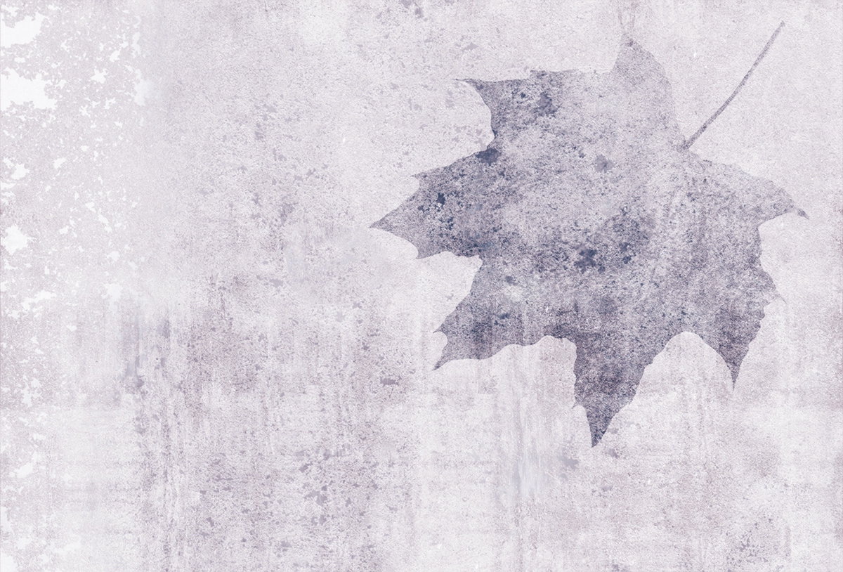 华体会体育官方在线官网 - 附件|装饰画/墙饰|办公家具|华体会体育官方在线官网家具|枫叶-原创定制壁画