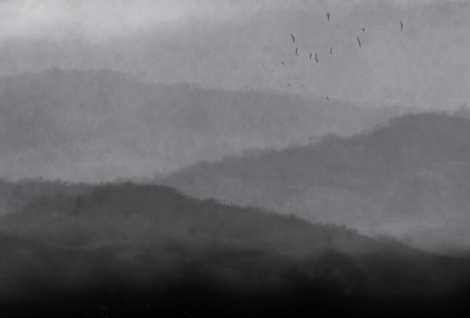 [华体会体育官方在线官网 - 附件|装饰画/墙饰|办公家具|华体会体育官方在线官网家具|雾-原创定制壁画]