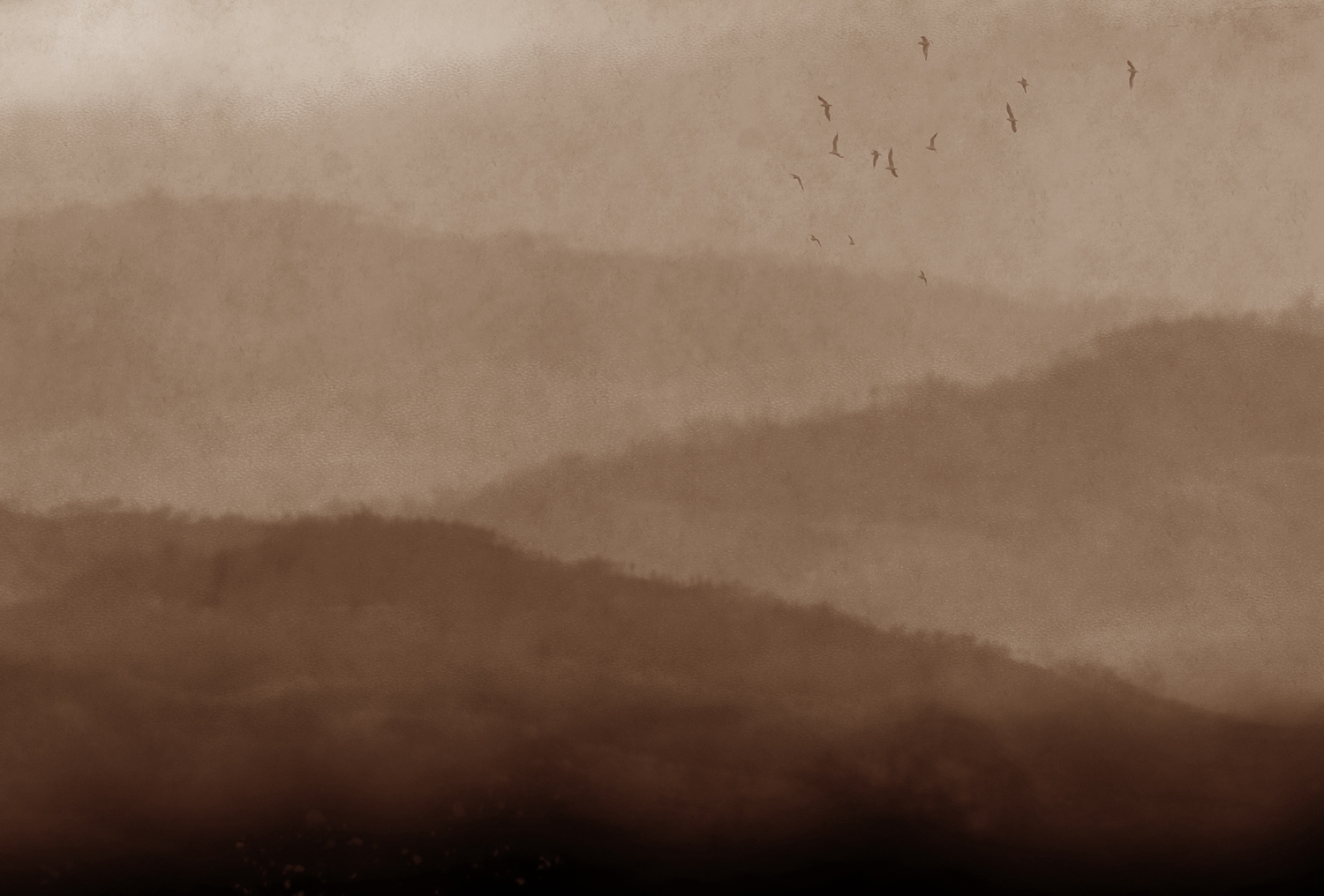 华体会体育官方在线官网 - 附件|装饰画/墙饰|办公家具|华体会体育官方在线官网家具|雾-原创定制壁画