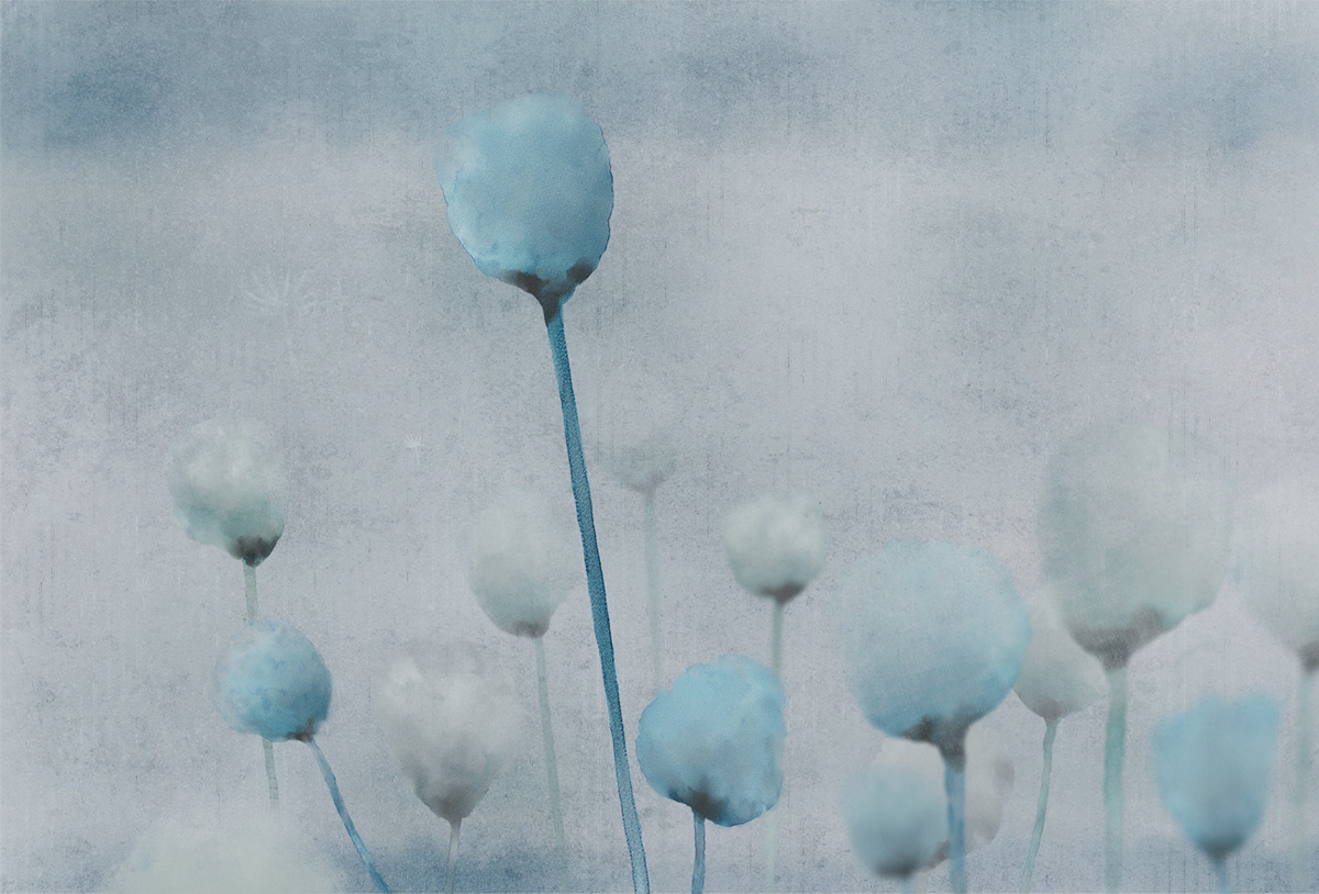 [华体会体育官方在线官网 - 附件|装饰画/墙饰|办公家具|华体会体育官方在线官网家具|罂粟-原创定制壁画]