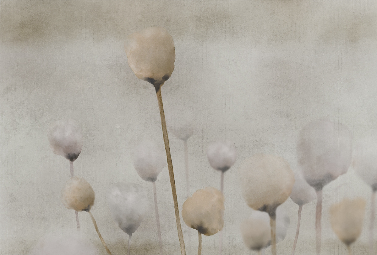 华体会体育官方在线官网 - 附件|装饰画/墙饰|办公家具|华体会体育官方在线官网家具|罂粟-原创定制壁画