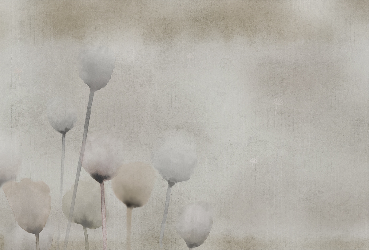 华体会体育官方在线官网 - 附件|装饰画/墙饰|办公家具|华体会体育官方在线官网家具|罂粟-原创定制壁画