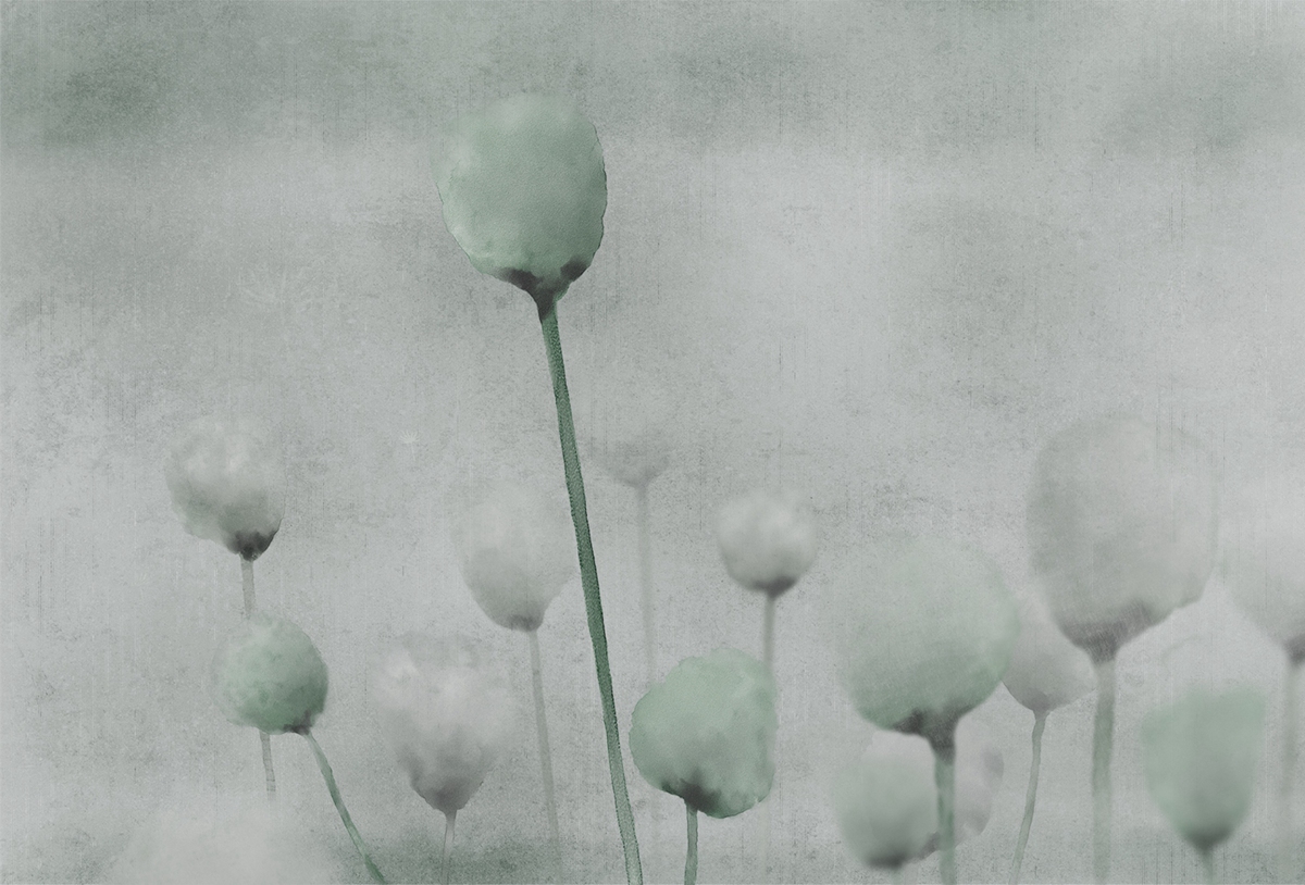 华体会体育官方在线官网 - 附件|装饰画/墙饰|办公家具|华体会体育官方在线官网家具|罂粟-原创定制壁画