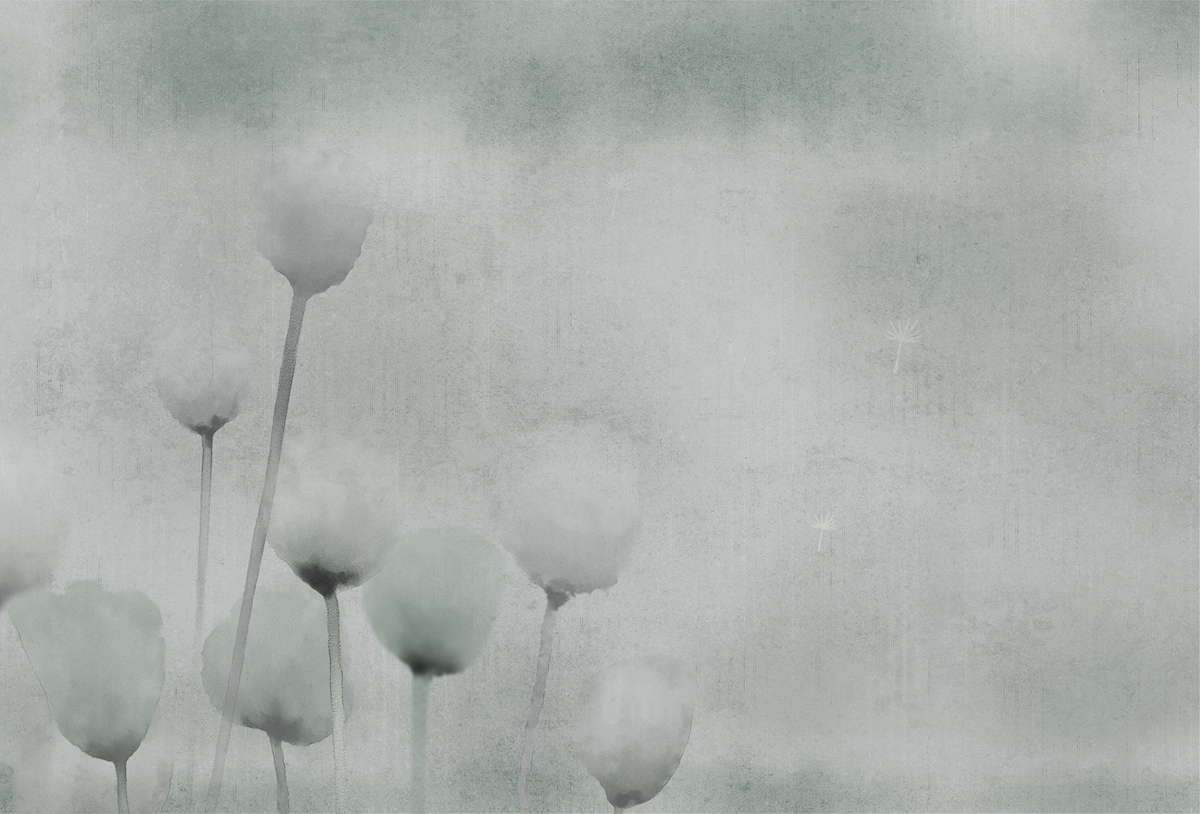 华体会体育官方在线官网 - 附件|装饰画/墙饰|办公家具|华体会体育官方在线官网家具|罂粟-原创定制壁画