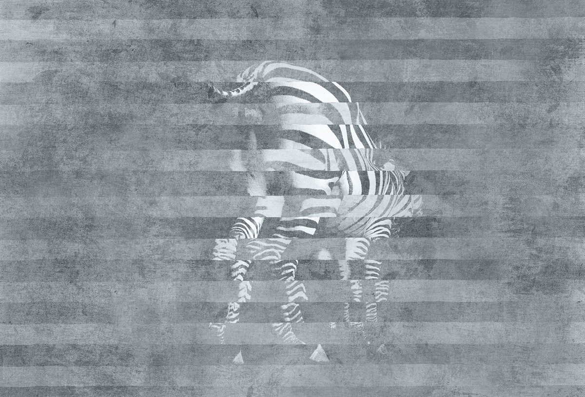 华体会体育官方在线官网 - 附件|装饰画/墙饰|办公家具|华体会体育官方在线官网家具|斑马-原创定制壁画