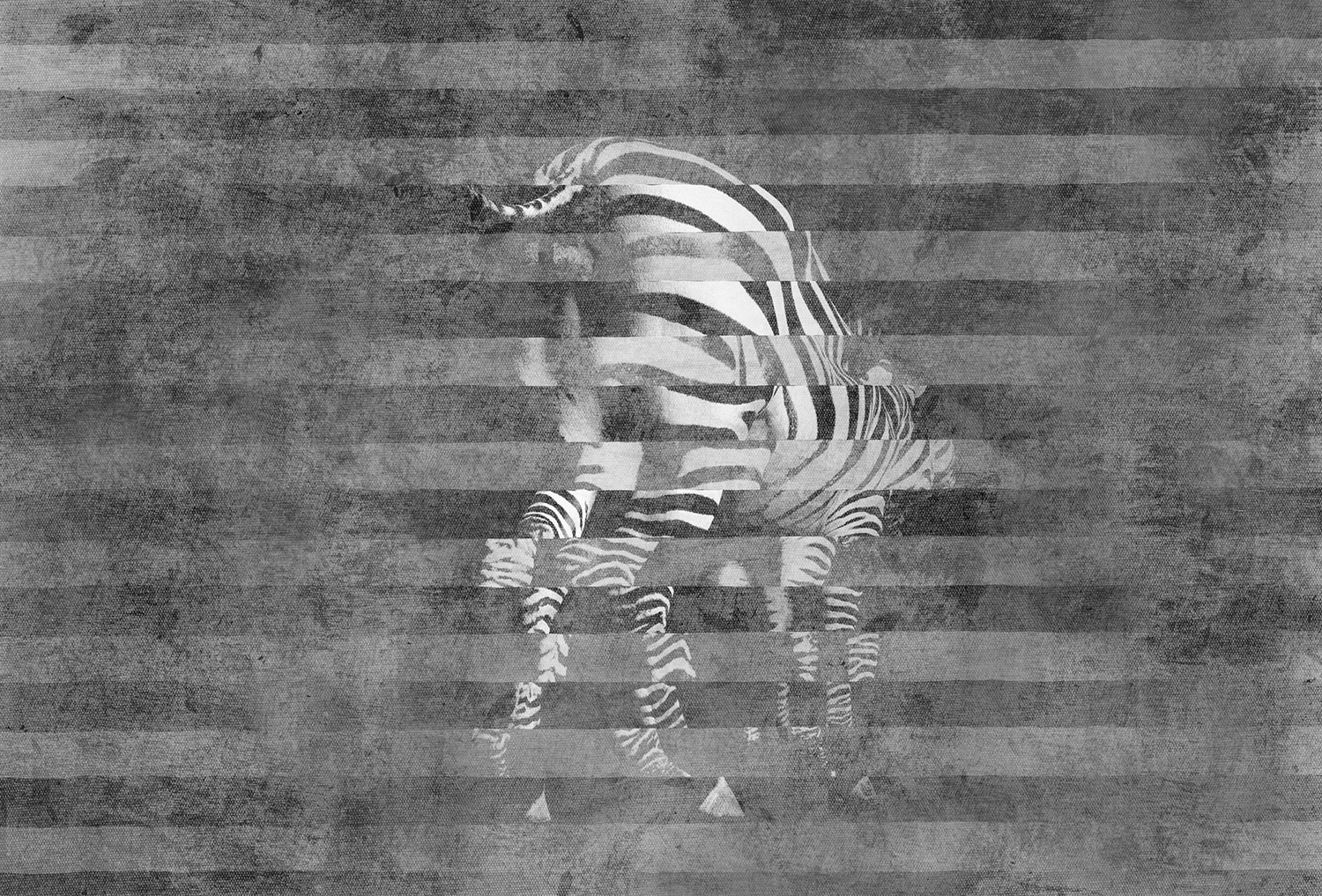 华体会体育官方在线官网 - 附件|装饰画/墙饰|办公家具|华体会体育官方在线官网家具|斑马-原创定制壁画