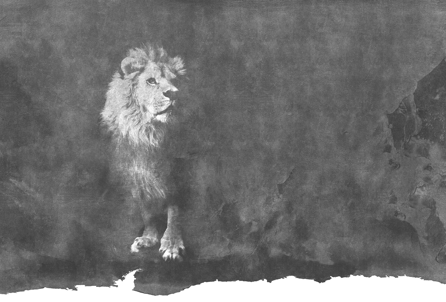 [华体会体育官方在线官网 - 附件|装饰画/墙饰|办公家具|华体会体育官方在线官网家具|狮子-原创定制壁画]