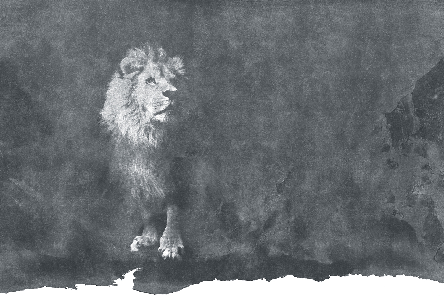 华体会体育官方在线官网 - 附件|装饰画/墙饰|办公家具|华体会体育官方在线官网家具|狮子-原创定制壁画